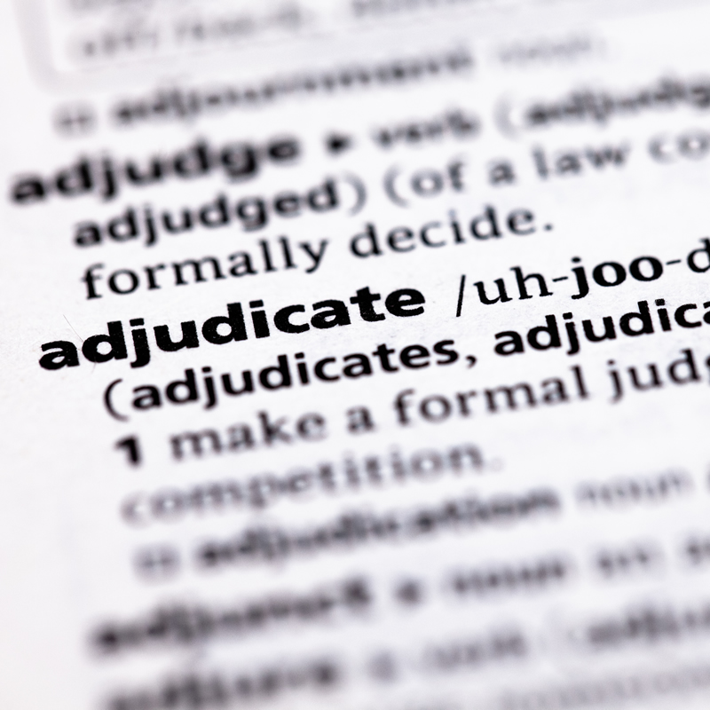 For Adjudicators